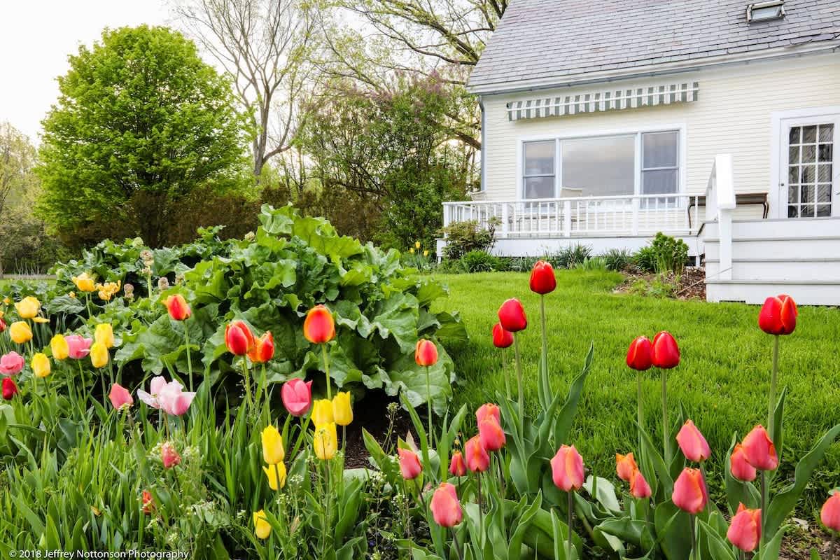 Farm House garden